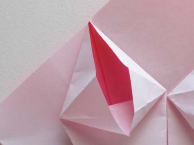 origami-day-lily-step-6