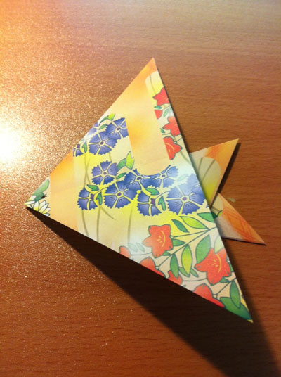 origami-angelfish