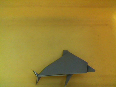 origami-dolphin