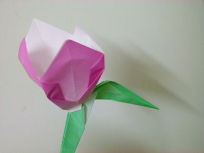 Origami Tulip at origami-instructions.com