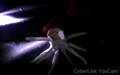 origami-spider