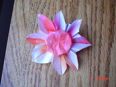 origami-daisy