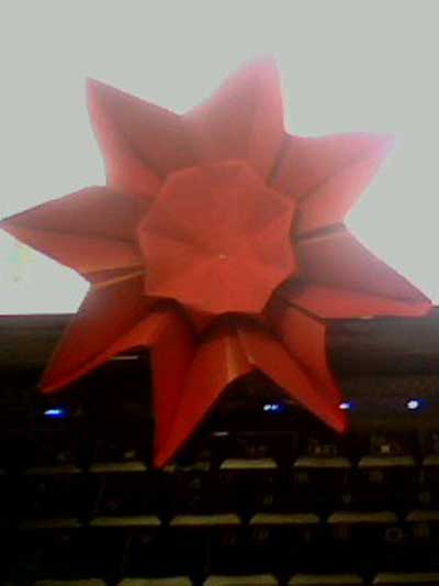 origami-daisy