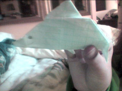 origami-dolphin