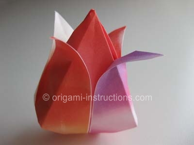 origami-traditional-tulip